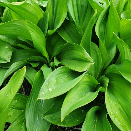 이미지 상세보기