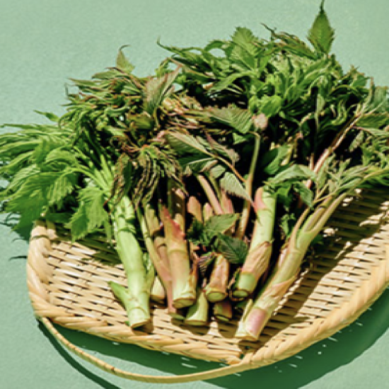 이미지 상세보기